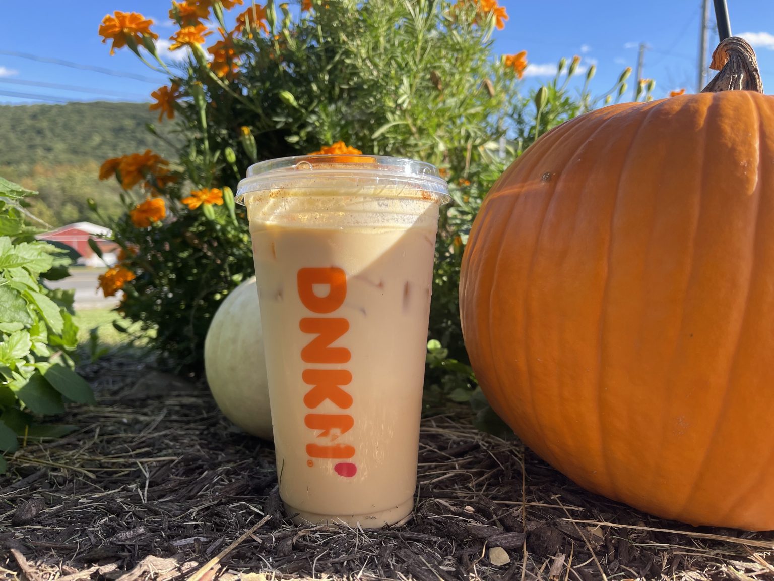 Pumpkin Cream Cold Brew Review Best Coffee Recipes