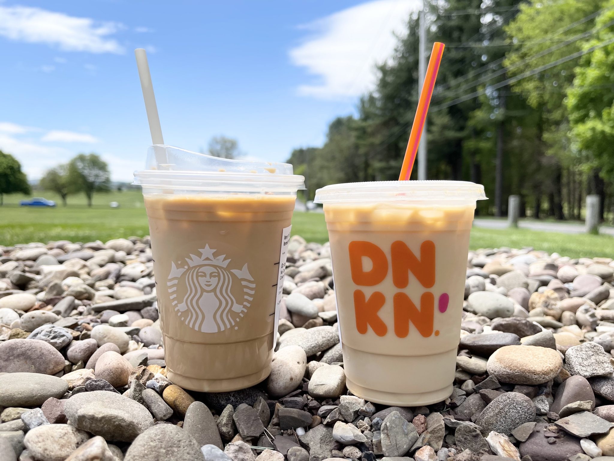 Dunkin Vs Starbucks Caffeine Content Ultimate Guide Bcr 